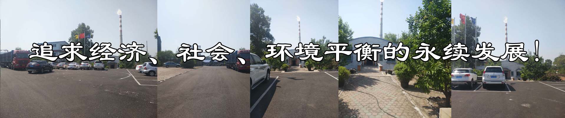 抚顺金利石化炭素有限公司